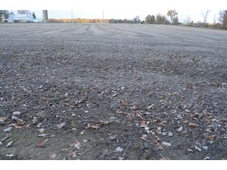 Property photo 30 - 127 Acres Offered in 8 Tracts - Allen & Dekalb County Land